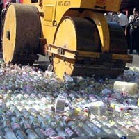 Miras dan Ganja Hasil Operasi Sakauw Dimusnahkan